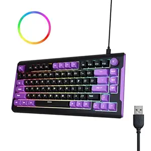 Hive Lite Wired RGB Membrane Gaming Keyboard, Ultra Silent 75% Compact Keyboard, RGB Keyboard Volume Knob, Windows Game Mode Lock Key Board Gaming with RGB Backlight Keyboard (Black, Purple)